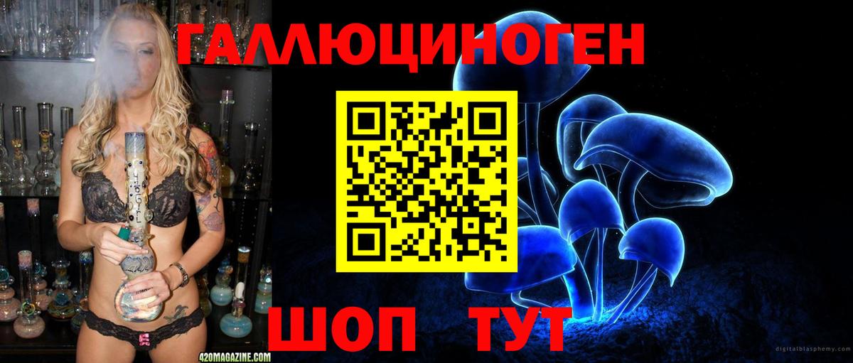 Псилоцибиновые грибы мухоморы Барнаул